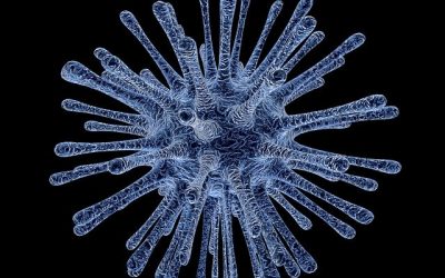 Coronavirus and Caregiving