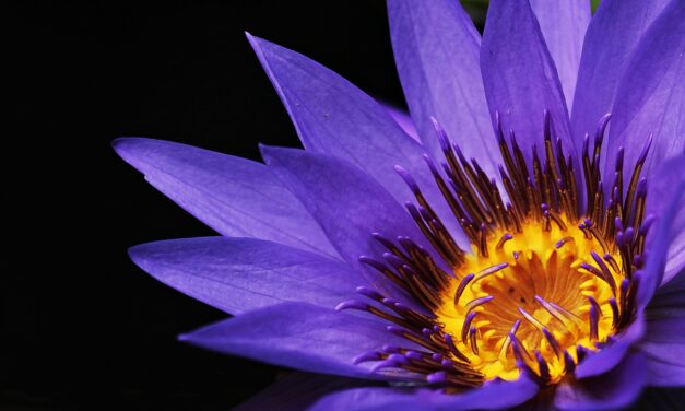 Two Years.  It’s Been Two Years.